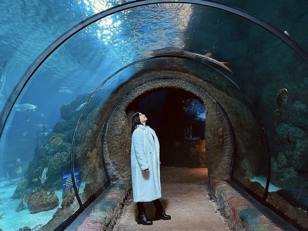 Downtown Aquarium