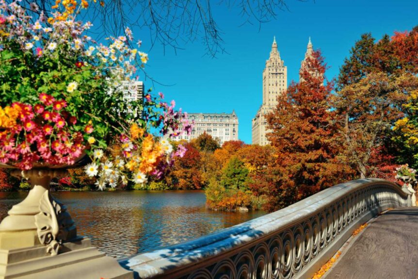 7 Top Things to Do During Spring in Denver